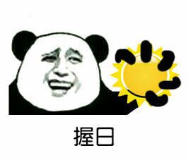 握日 － 金馆长熊猫