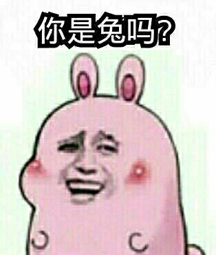 你是兔吗？