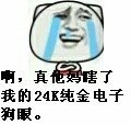 真TM的瞎了我的24K纯金电子狗眼