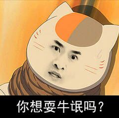 被绑着的猫：你想耍牛氓吗？