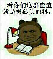 读书：一看你们这群渣渣就是搬砖头的料