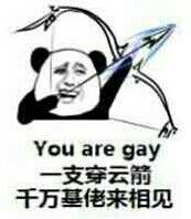 一支穿云箭，千万基佬来相见 You are gay