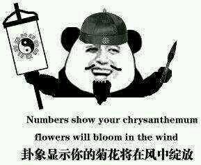 卦象显示你的菊花将在风中绽放（numbers show your chrysanthemum flowers will bloom in the wind）