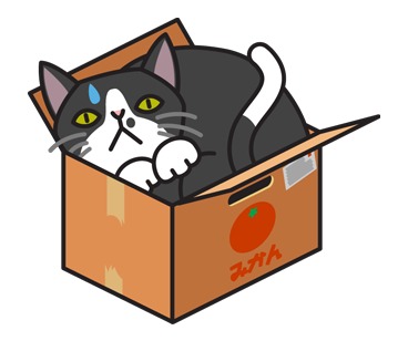 黑猫躲纸盒睡觉