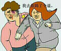 我去你妈了个逼