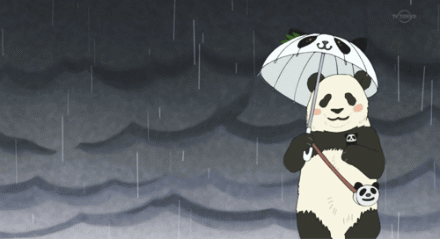 胖熊猫一个人在雨天走路