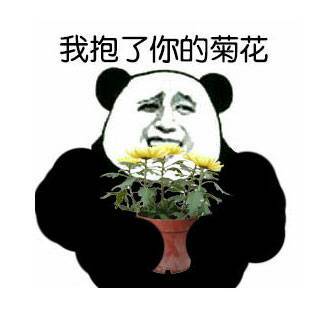 我抱了你的菊花