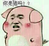 你是猪吗？