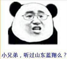 小兄弟 听过山东蓝翔么