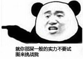 就你那屎一般的实力不要试图挑战我