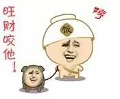 哼  旺财 咬他