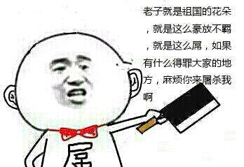 麻烦你来屠杀我啊小孩子拿菜刀屌：老子就是祖国的花朵，就是这么豪放不羁，就是这么屌，如果有什么得罪的地方