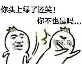 洋葱头打脸：你头上绿了还笑！你不也是吗。。。。