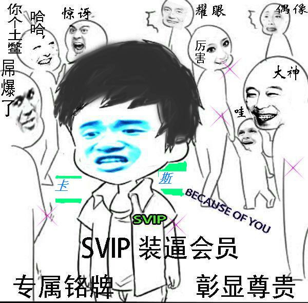 svip装逼会员,专属铭牌，彰显尊贵，你个土鳖，屌爆了，大神，厉害。。。