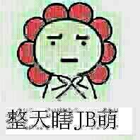 整天瞎JB萌整天瞎JB萌，萌你奶奶个腿儿