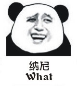 纳尼 What? 什么