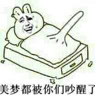 早上好：美梦都被你们吵醒了