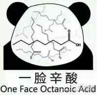 一脸辛酸（One Face Octanoic Acid）