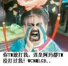 小燕子：你TM敢打我，连皇阿玛都TM没打过我！WCNMLGB