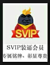 SVIP装逼会员 专属铭牌、彰显尊贵