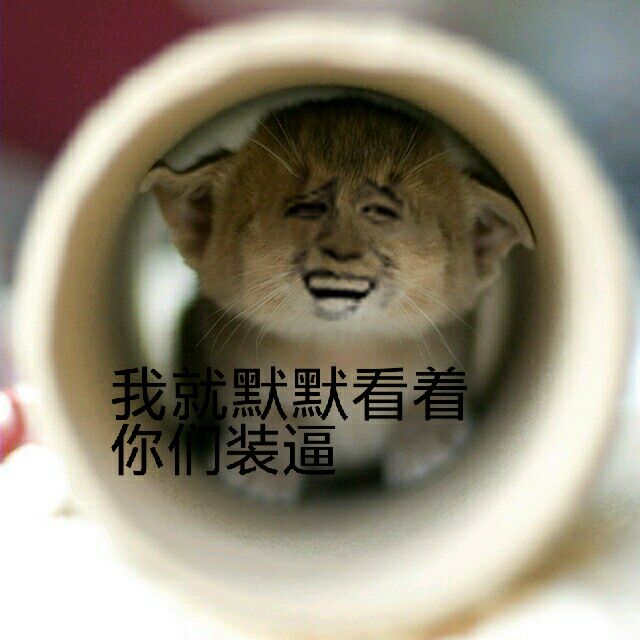 小猫咪躲着：我就默默看着你们装逼