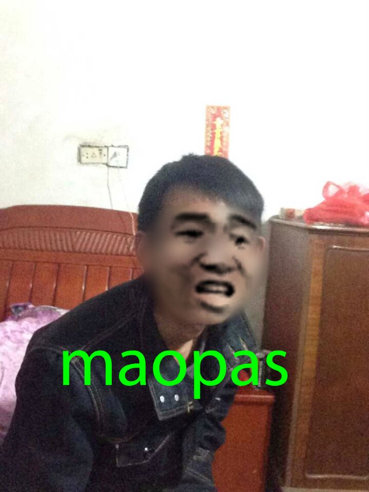 maopas(早中晚上好的意思，来源：悠哉日常大王)