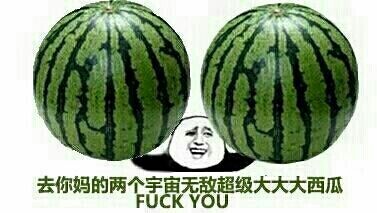 去你妈的两个宇宙超级无敌大大大西瓜 FUCK YOU