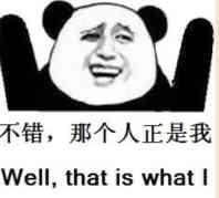 不错，那个人正是我 Will what is what I