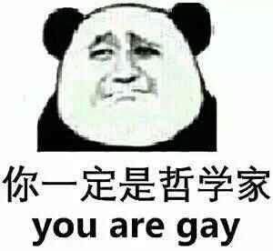 你一定是哲学家you are gay