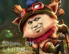 我叫timo 你特么来打我啊