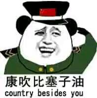 康吹比塞子油  country besides you