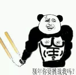 骚年 你要挑战我吗？