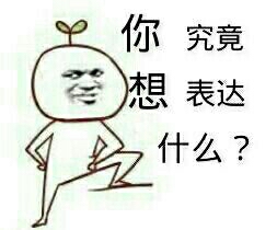 你究竟想表达什么