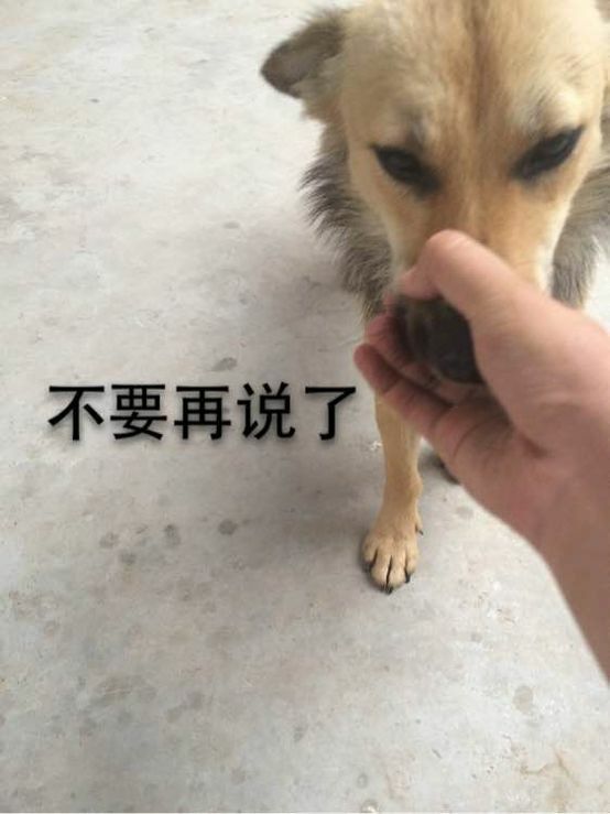 抓着狗的嘴：不要再说了