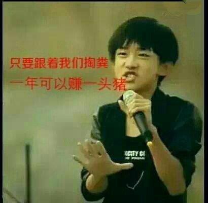 掏粪男孩tfboys:只要跟着我们掏粪，一年可以赚一头猪