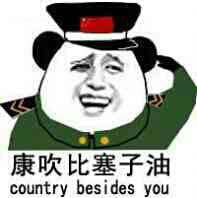 康吹比塞子油 country besides you