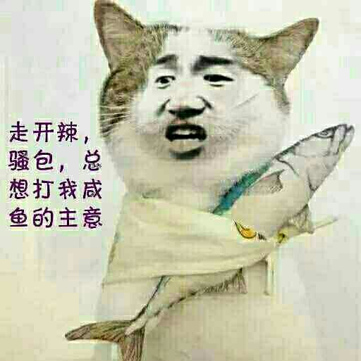 猫：走开辣骚包，总想打我咸鱼的主意