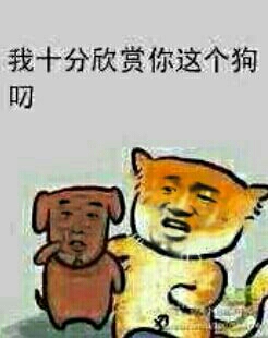 猫和狗：我十分欣赏你这狗屌