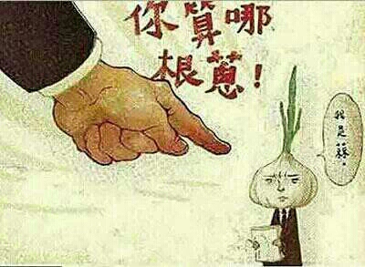 你算哪根葱 我是蒜