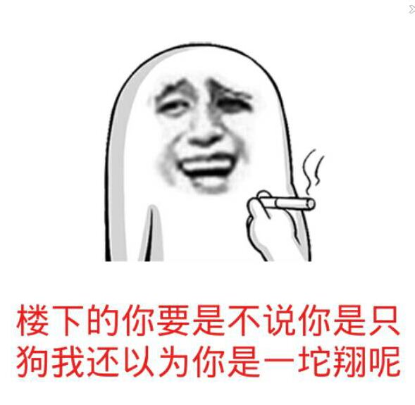 楼下的你要是不说你是只狗我还以为你是一坨翔呢