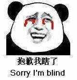 抱歉我瞎了 sorry I