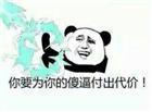 你要为你的傻逼付出代价！