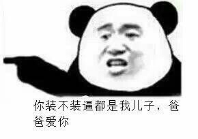 你装不装逼都是我儿子，爸爸爱你