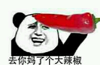 我去你妈了个大辣椒