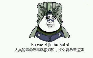 人的寿命本来就很短暂，没必要急着送死 bu zuo si jiu bu hui si