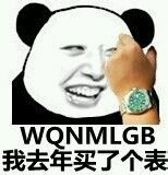 我去年买了个表 WQNMLGB