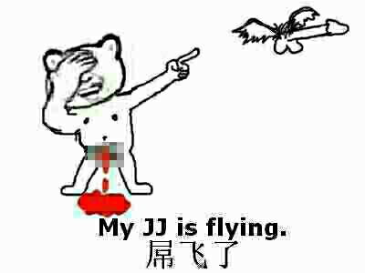 屌飞了 My JJ is flying.(我的JJ飞跑了)