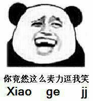 你竟然这么卖力逗我笑 Xiao ge JJ