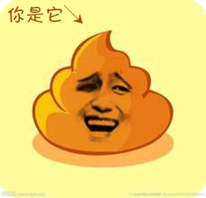 一坨屎：你是它