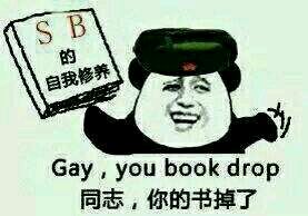 SB的自我修养：同志，你的书掉了 Gay,you book drop